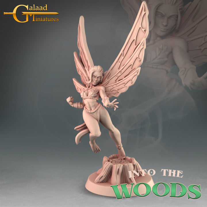 Fairy Bundle by Galaad Miniatures