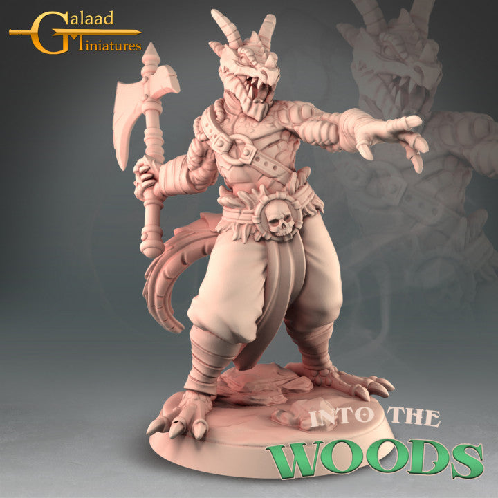 Dragonborn Barbarian Hero 01 by Galaad Miniatures