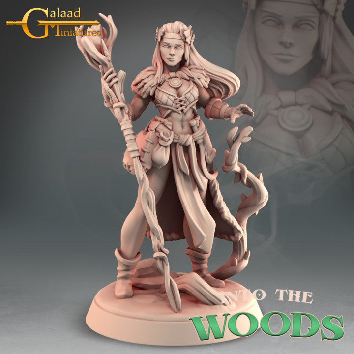 Female Druid Hero 01 by Galaad Miniatures