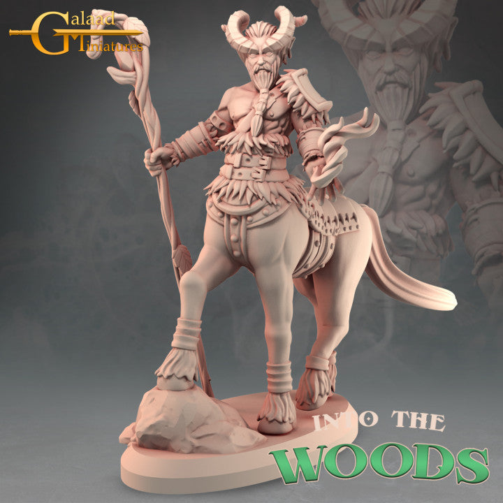 Centaur 05 by Galaad Miniatures
