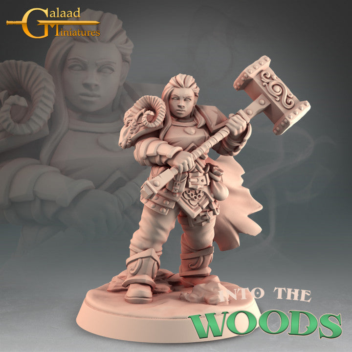 Female Dwarf Fighter Hero 01 by Galaad Miniatures
