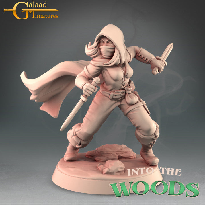 Female Rogue Hero 01 by Galaad Miniatures