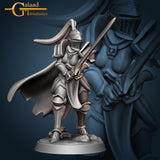 Female Knight Bundle by Galaad Miniatures