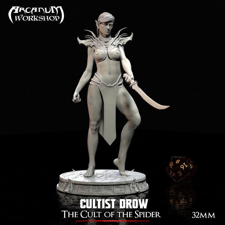 Drow Cultist 1 by Arcanum Workshop