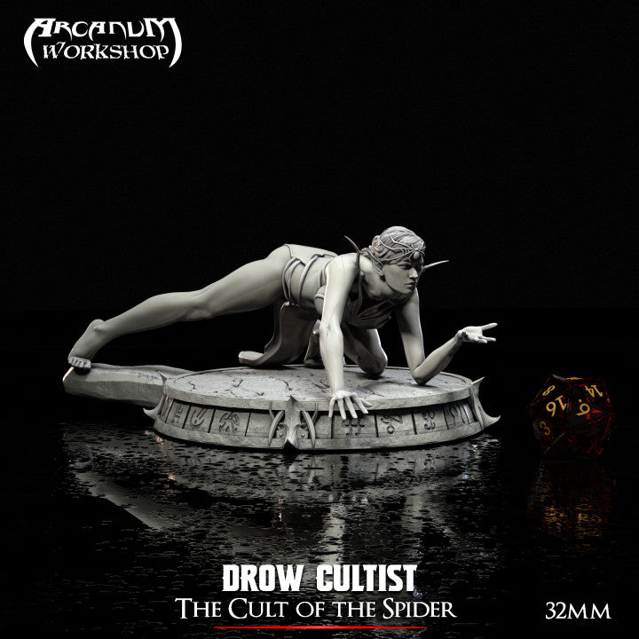 Drow Cultist 2 by Arcanum Workshop