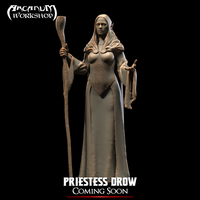 Priestess Drow by Arcanum Workshop