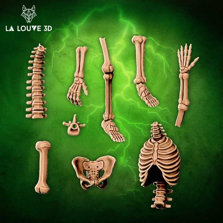 Skeleton Parts by La Louve 3D