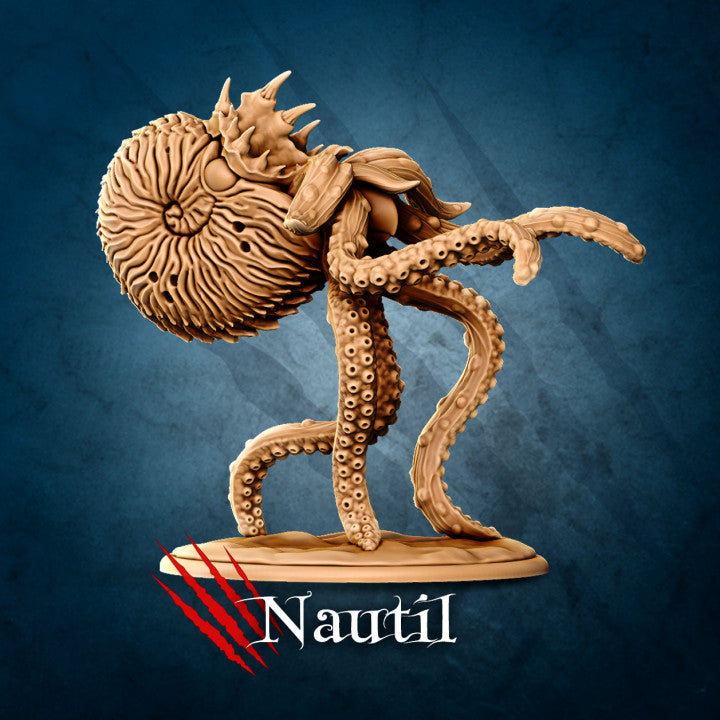 Nautilus by La Louve 3D