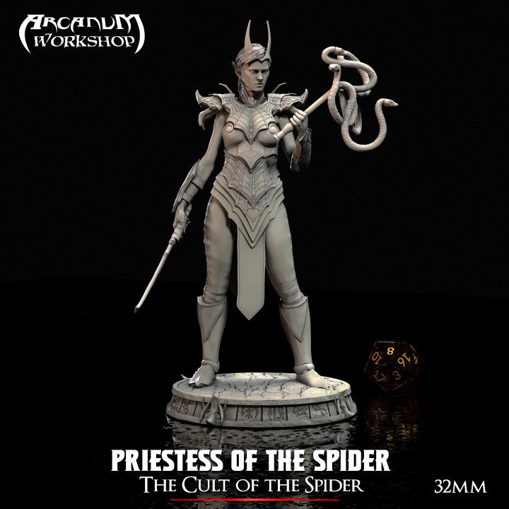 Drow Priestess of the Spider 1 by Arcanum Workshop