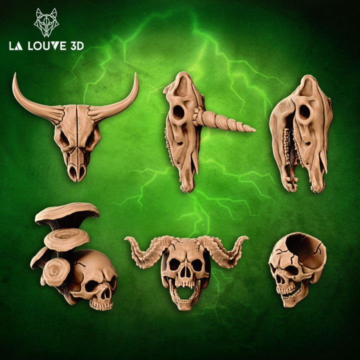 Skulls by La Louve 3D