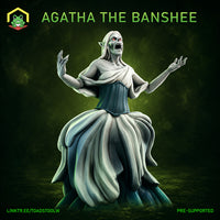 Agatha the Banshee by The Toadstool Weaver — a gaunt female elven spirit with arms outstretched and mouth open in a wail, wearing a dark structured corset over billowing pale ghostly robes that swirl downward to the ground.