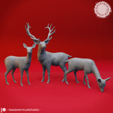 Animal Bundle by Yasashii Kyojin Studios