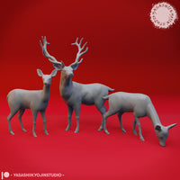 Animal Bundle by Yasashii Kyojin Studios