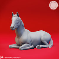 Animal Bundle by Yasashii Kyojin Studios