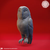 Animal Bundle by Yasashii Kyojin Studios