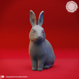 Animal Bundle by Yasashii Kyojin Studios