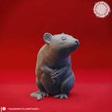 Animal Bundle by Yasashii Kyojin Studios