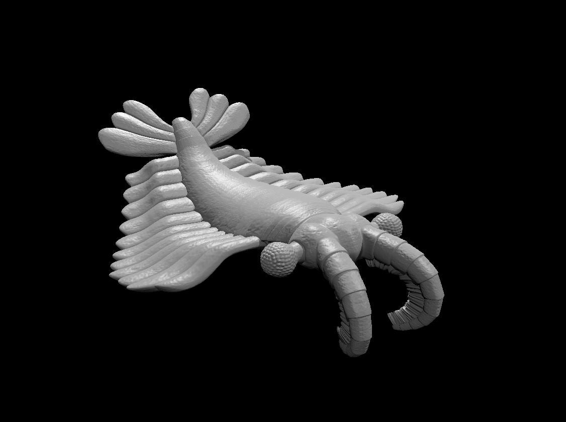 Anomalocaris miniature by MZ4250 — elongated segmented body with broad lateral fin-like limbs, lobed head appendages fanning upward, curling articulated tail, compound eye clusters.