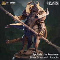 Silver Drabonborn Paladin (Apokris the Resolute) by DM Stash