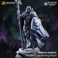 Rear view of a long-haired drow knight raising a crescent-moon polearm overhead, revealing an elaborately scrollwork-patterned cloak interior and fur collar across the shoulders, with a decorative sculpted base beneath. Sculpt by DM Stash.