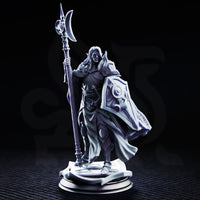 Drow male knight standing upright, holding a tall crescent-moon polearm in one hand and a large engraved kite shield in the other, wearing layered plate armour and a billowing fur-collared cloak. Sculpt by DM Stash.