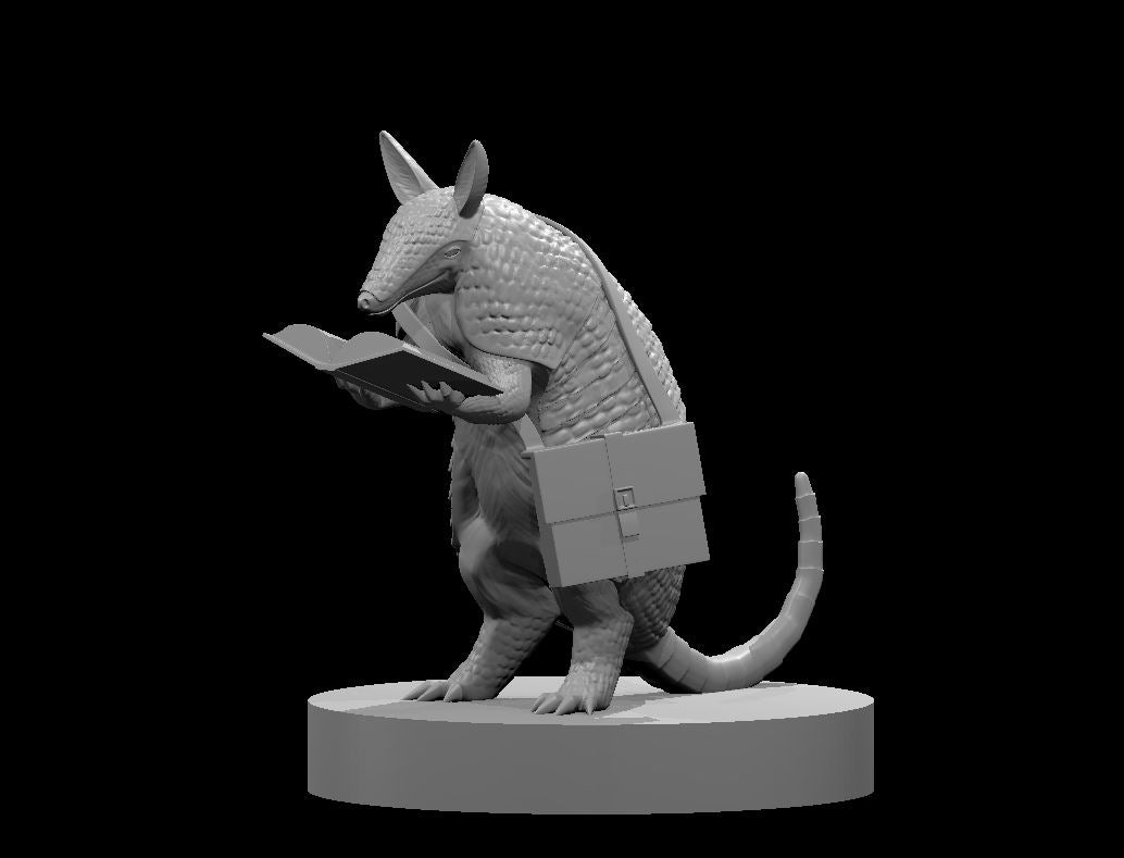 Armadillo Wizard by MZ4250