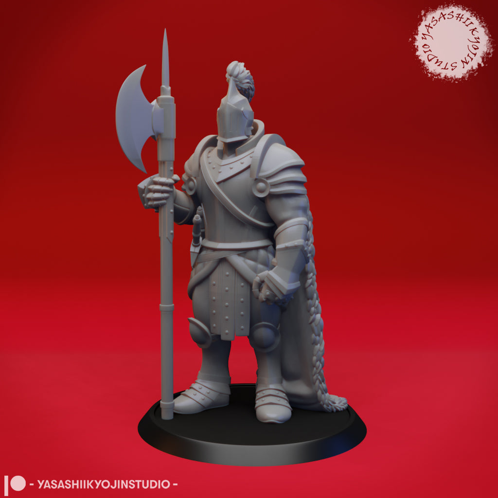 Armourded Fighter Bundle by Yasashii Kyojin Studios