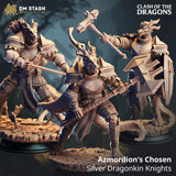 Silver Dragonborn Knights Bundle by DM Stash