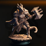 Silver Dragonborn Knight 02 by DM Stash