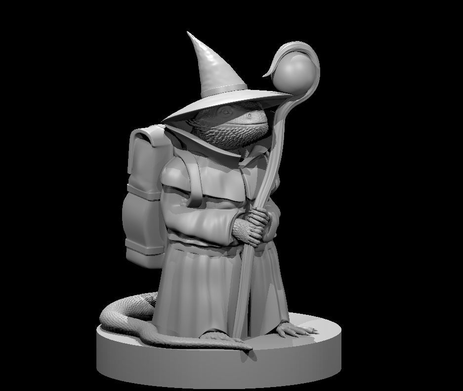 Bearded Dragon Wizard by MZ4250