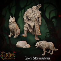 Bjorn Stormwatcher by Great Grimoire