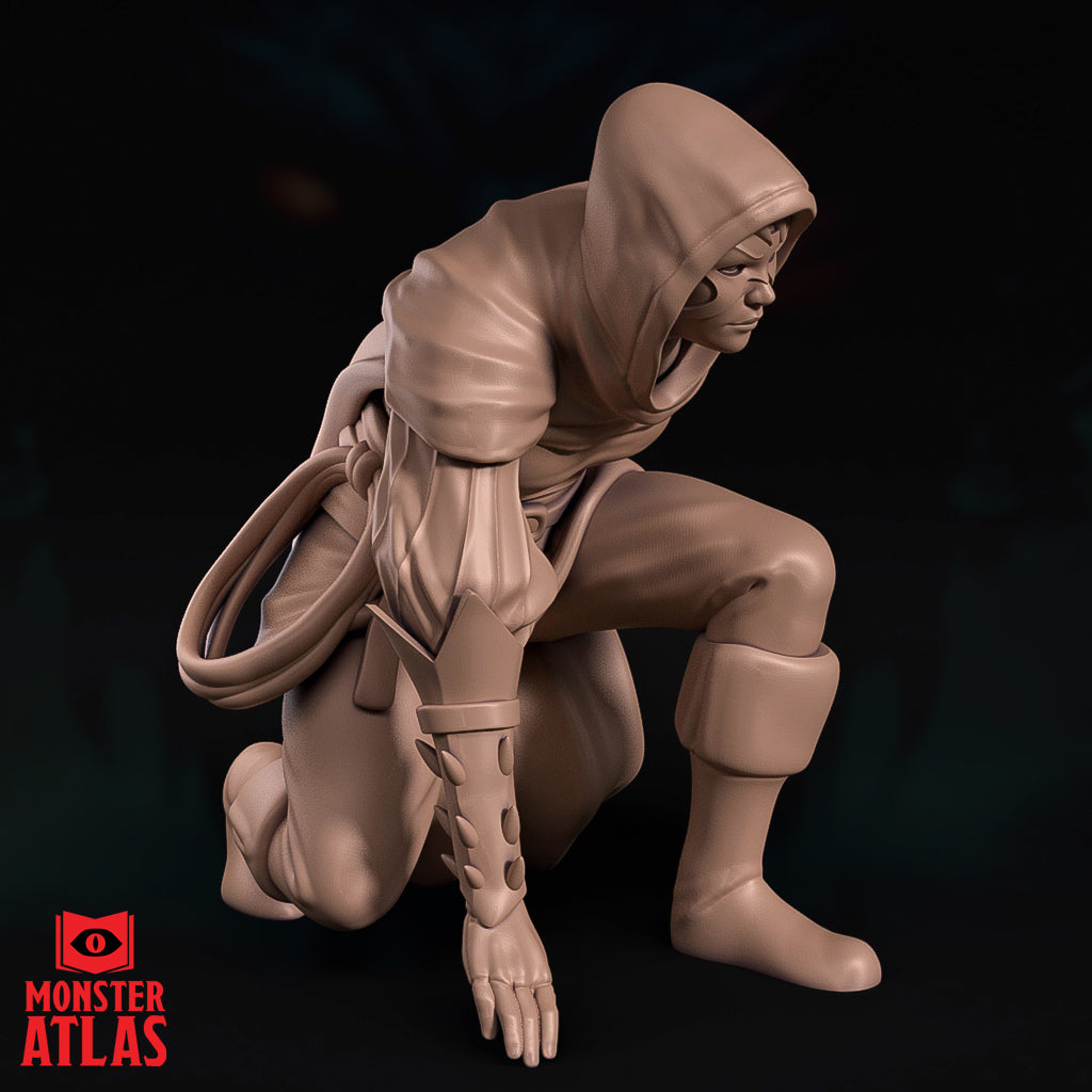Rogue (The Black Viper) by Monster Atlas