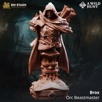 Orc Beastmaster (Brox) Bust  by DM Stash