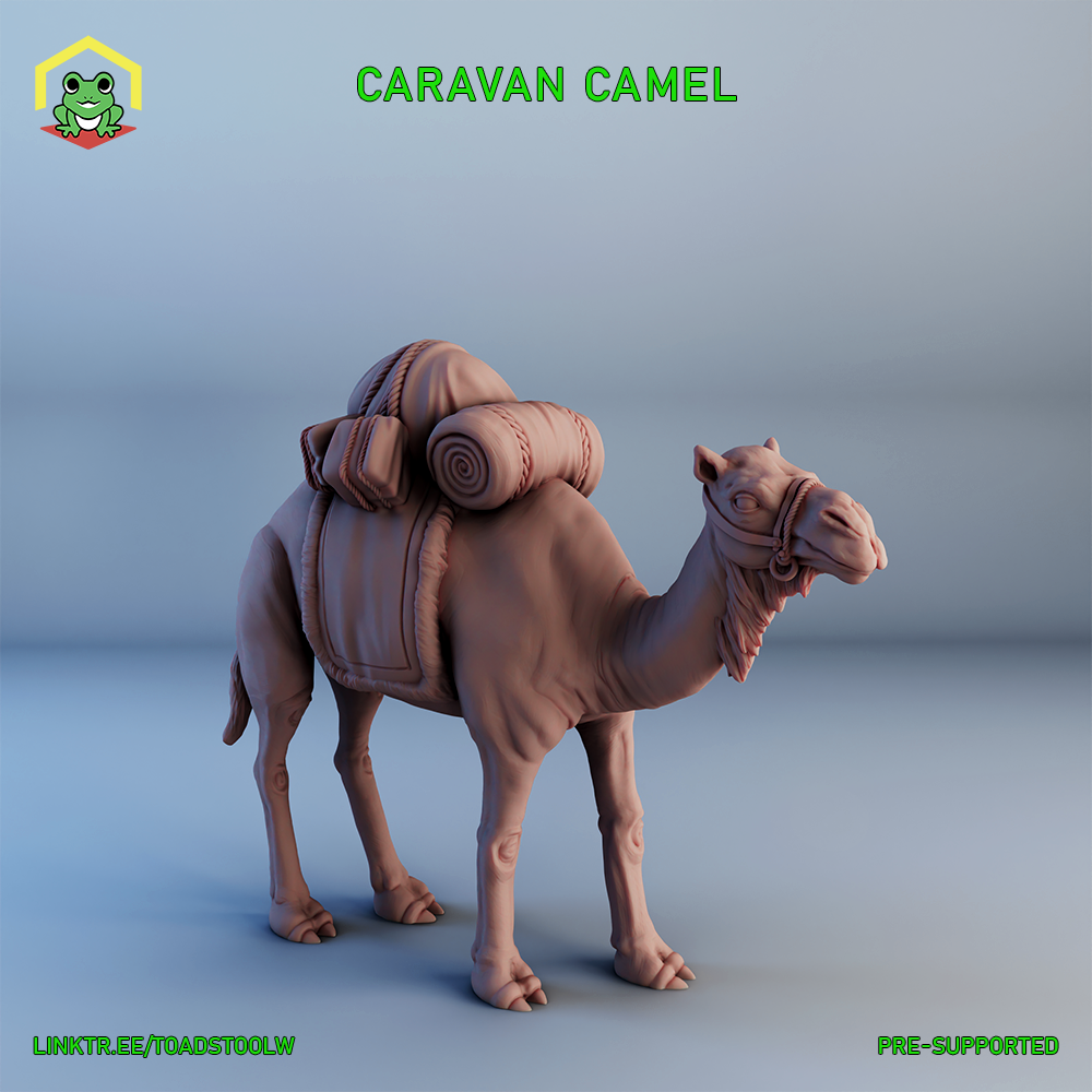 Caravan Camel by The Toadstool Weaver