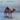 Caravan Camel by The Toadstool Weaver