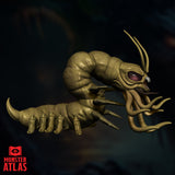 Carrion Crawler by Monster Atlas