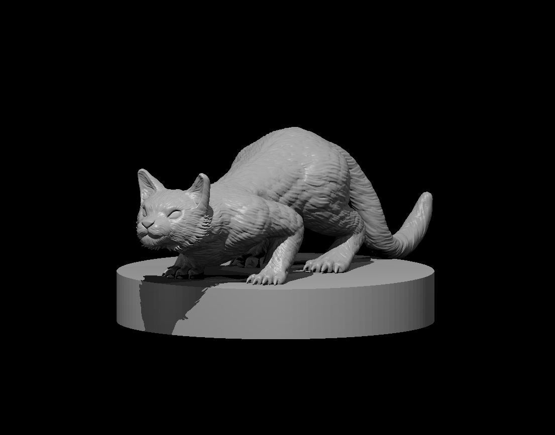 Cat by MZ4250