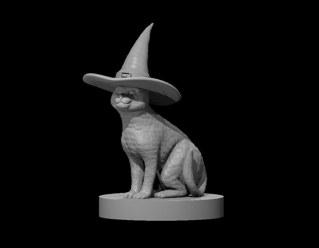 Cat w/Witch Hat by MZ4250