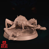 Cave Fisher by Monster Atlas
