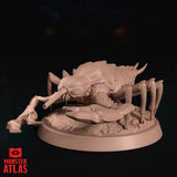 Cave Fisher by Monster Atlas