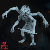 Chitine by Monster Atlas