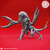 Chuul Bundle by Yasashii Kyojin Studios