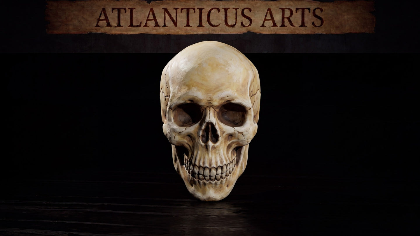 Anatomically detailed human skull sculpt with prominent cranial sutures, deep hollow eye sockets, intact nasal cavity, and full upper and lower dentition. Sculpt by Atlanticus Arts.