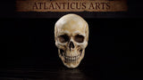 Anatomically detailed human skull sculpt with prominent cranial sutures, deep hollow eye sockets, intact nasal cavity, and full upper and lower dentition. Sculpt by Atlanticus Arts.