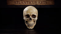 Anatomically detailed human skull sculpt with prominent cranial sutures, deep hollow eye sockets, intact nasal cavity, and full upper and lower dentition. Sculpt by Atlanticus Arts.