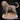 Crag Cat miniature by Mia Kay M3DM — snarling lion-like predator in a low stalking stance, heavy mane with deep fur texture, exposed fangs, curled tail, standing on a rocky scatter base with stone and scrub grass.
