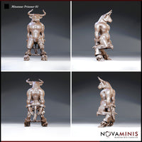 Minotaur kneeling with wrists secured behind its back, ankle manacles chained together, viewed from four angles showing broad muscular back and hooved feet. Novaminis.