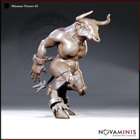 Minotaur Prisoner 02 by Novaminis — muscular bull-headed figure in a low crouching stance, arms spread wide with iron manacles and chain linking both wrists, clawed hooves, laced leather breeches.