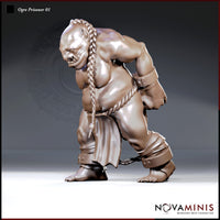 Massive ogre hunched forward with wrists bound by rope at the waist, ankle shackles linked by chain, long braided plait over one shoulder, snarling expression. Sculpt by Novaminis.