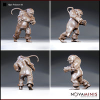 Ogre prisoner miniature shown from four angles: front, both sides and rear, revealing braided topknot, chain across torso, ankle shackle, and laced hide trousers. Sculpt by Novaminis.